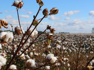 Fashion and Climate Change Blog