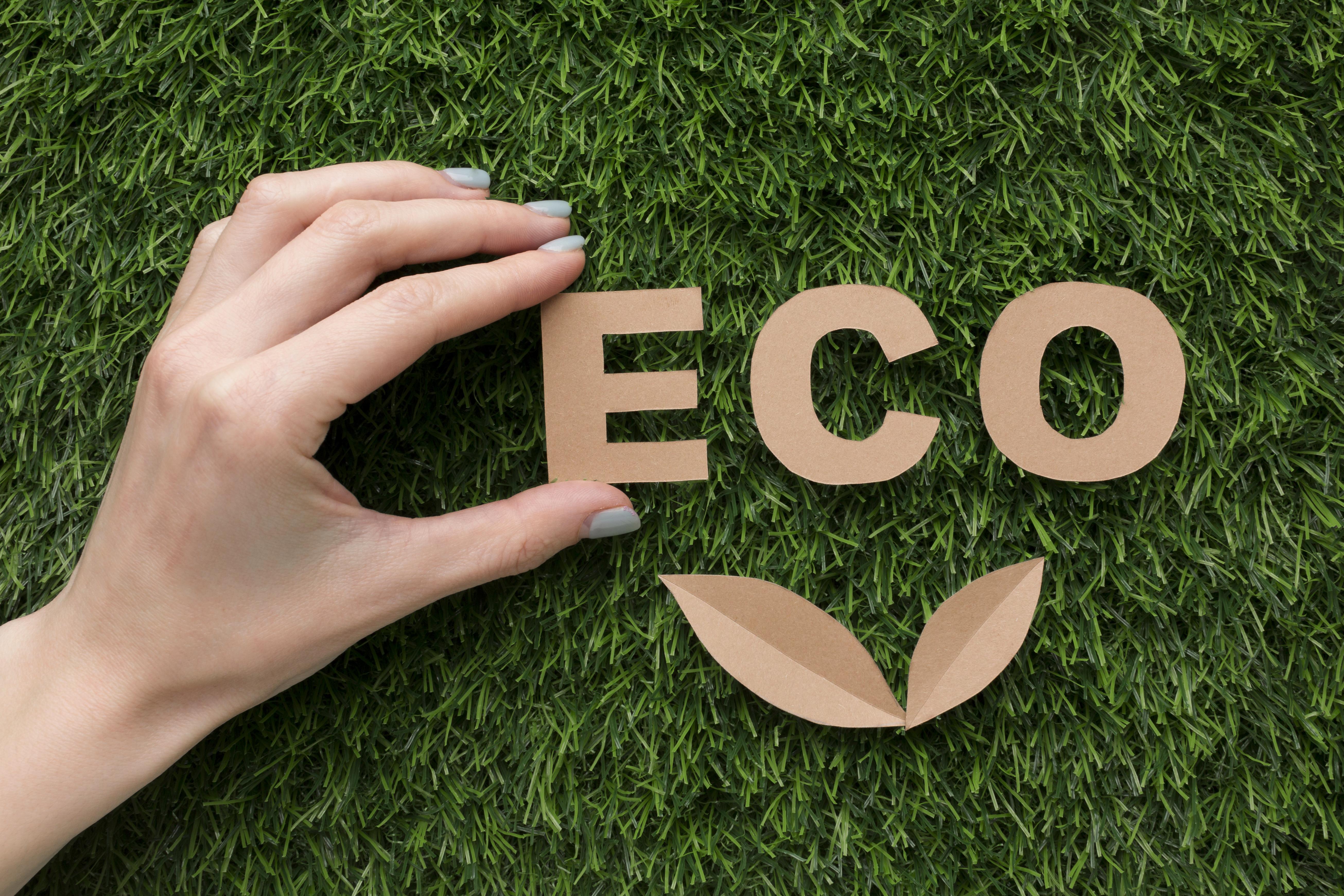 GREEN WASHING: The Rise of Green washing in Fashion